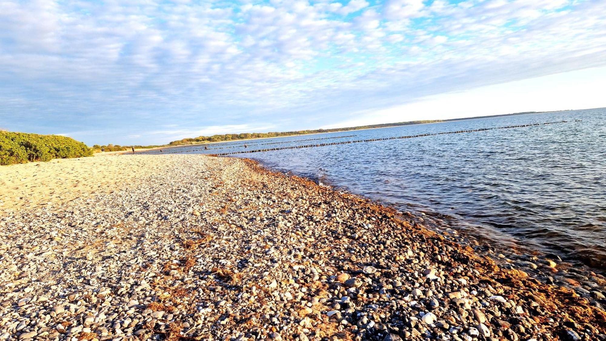 App 8O Grosser Tag Am Meer Mit Wasserblick Dranske Zewnętrze zdjęcie