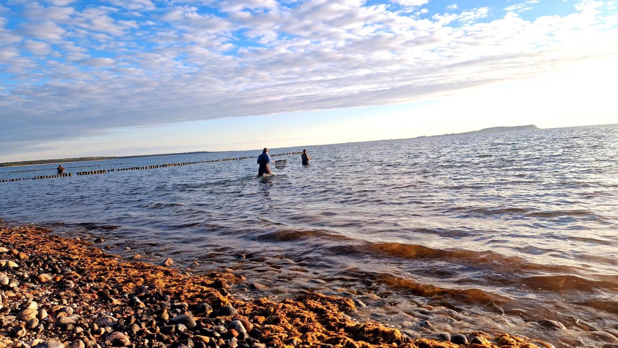 App 8O Grosser Tag Am Meer Mit Wasserblick Dranske Zewnętrze zdjęcie